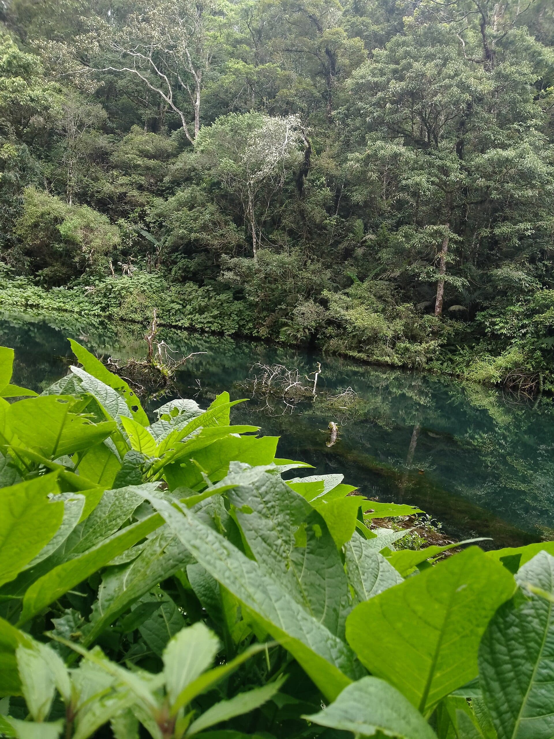 Telaga Biru Cibodas