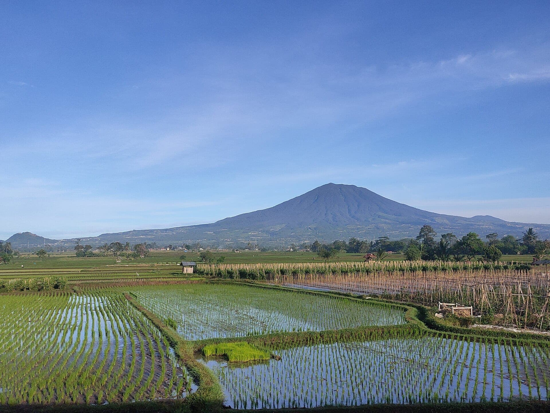 Gunung Gede-Pangrango