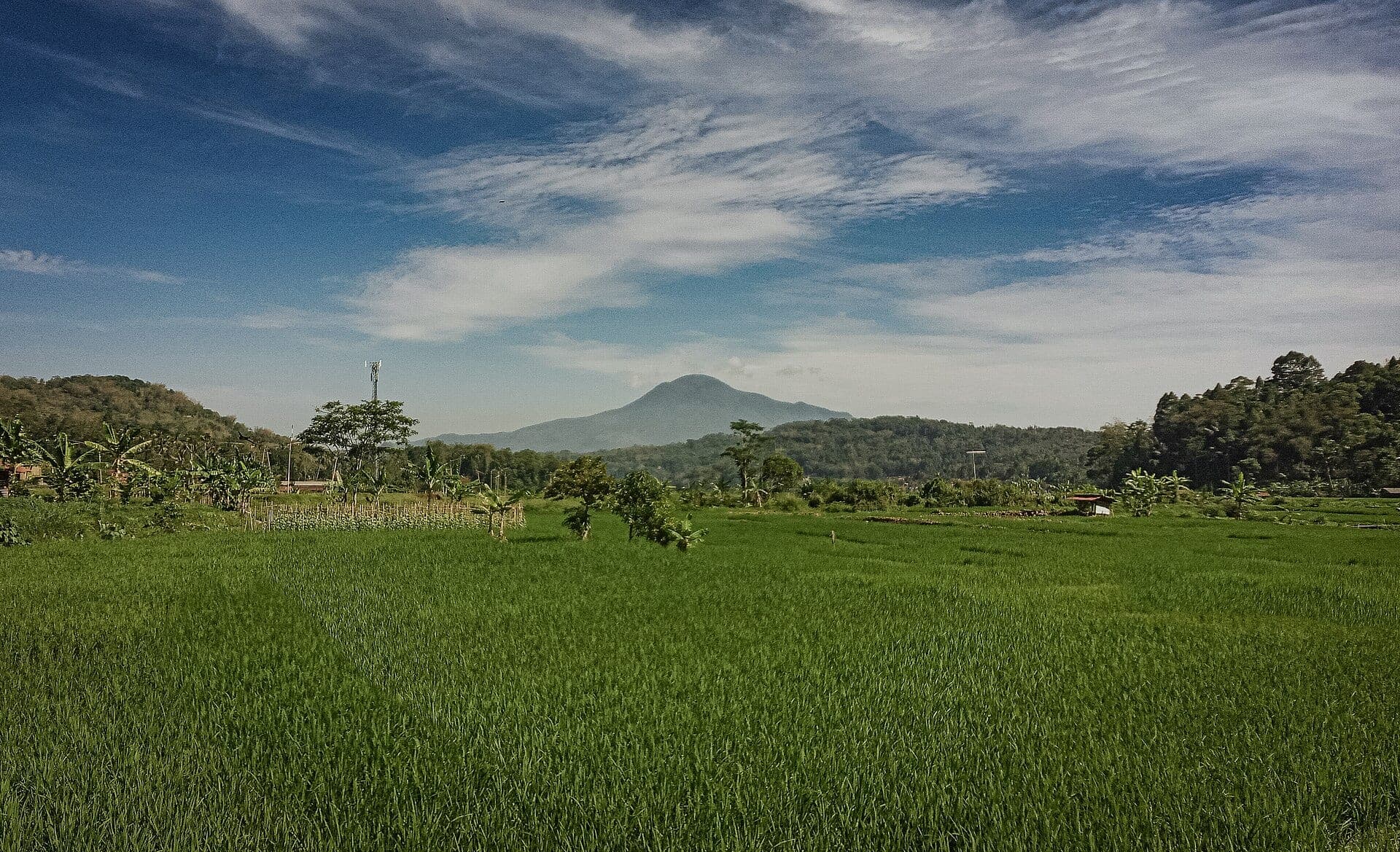 Gunung Tampomas