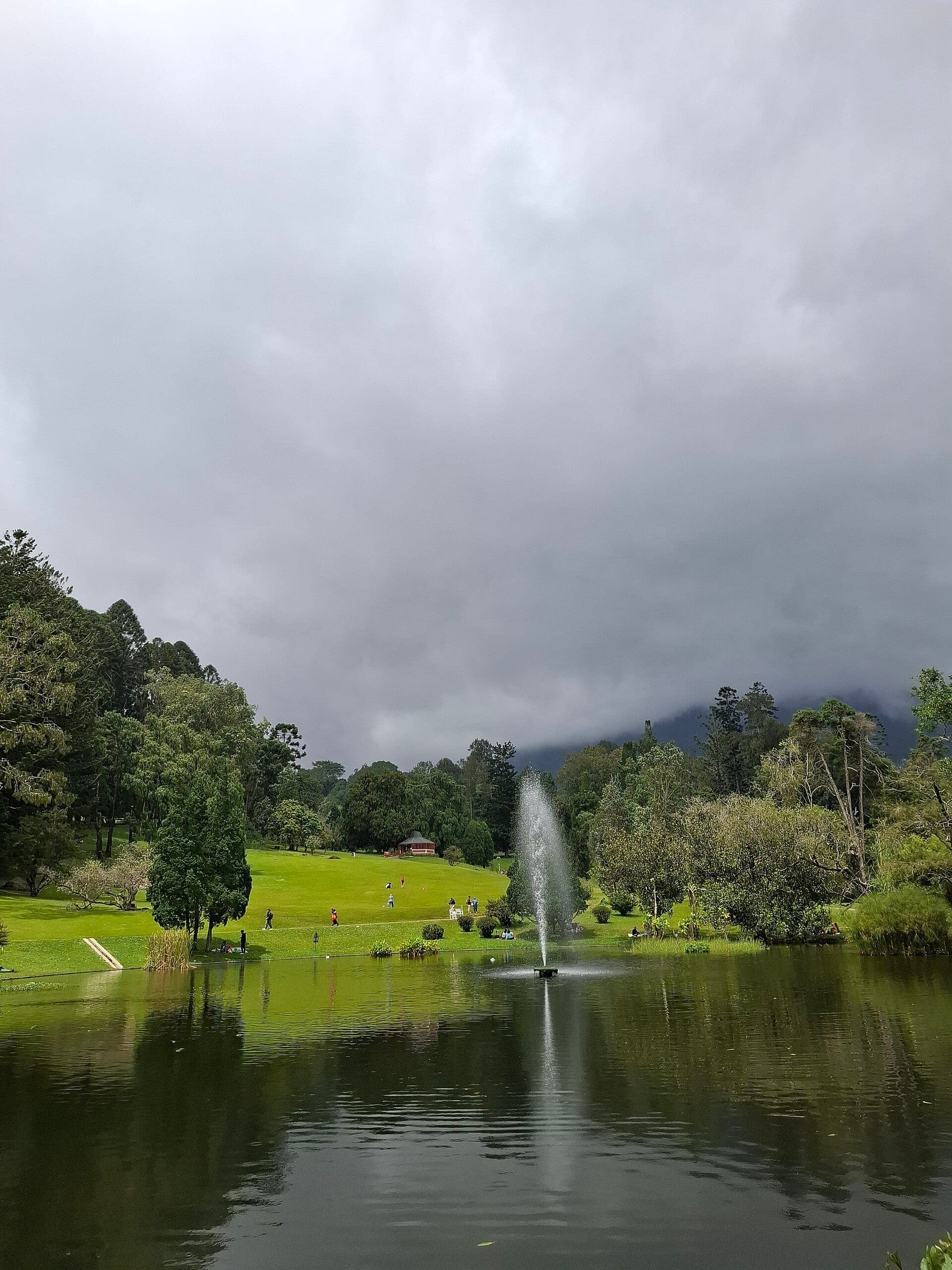 Kebun Raya Cibodas