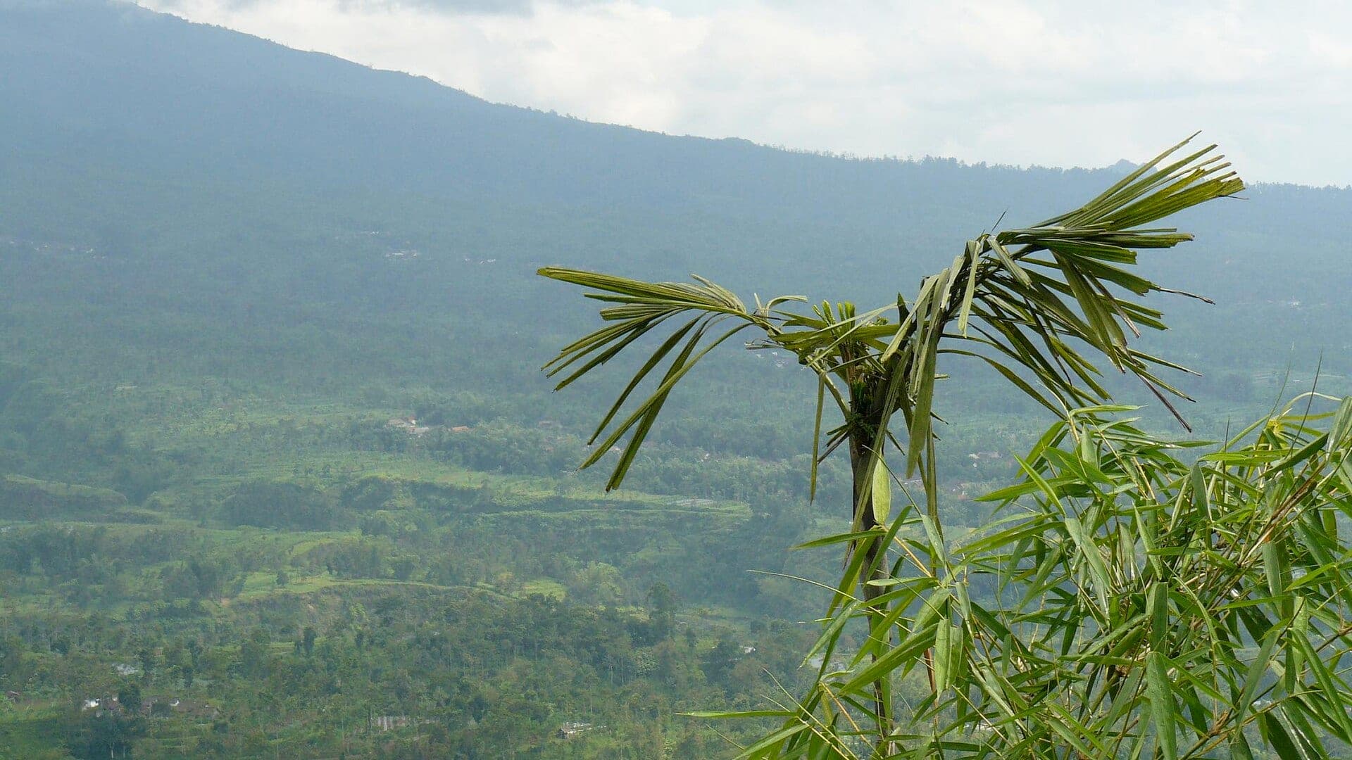 Ketep Pass