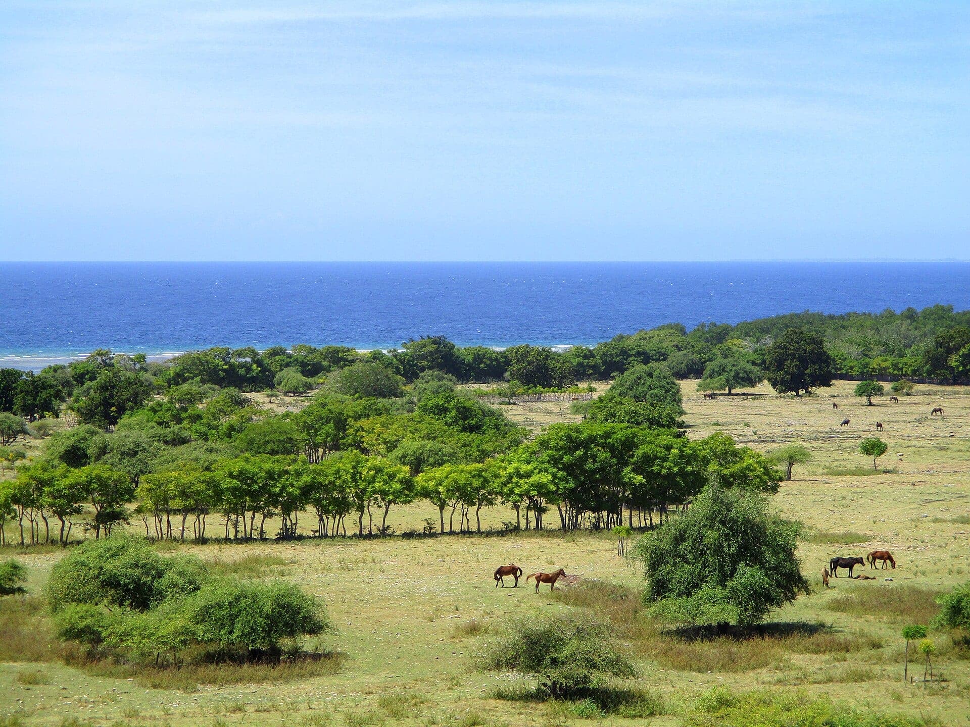 Savana Puru Kambera