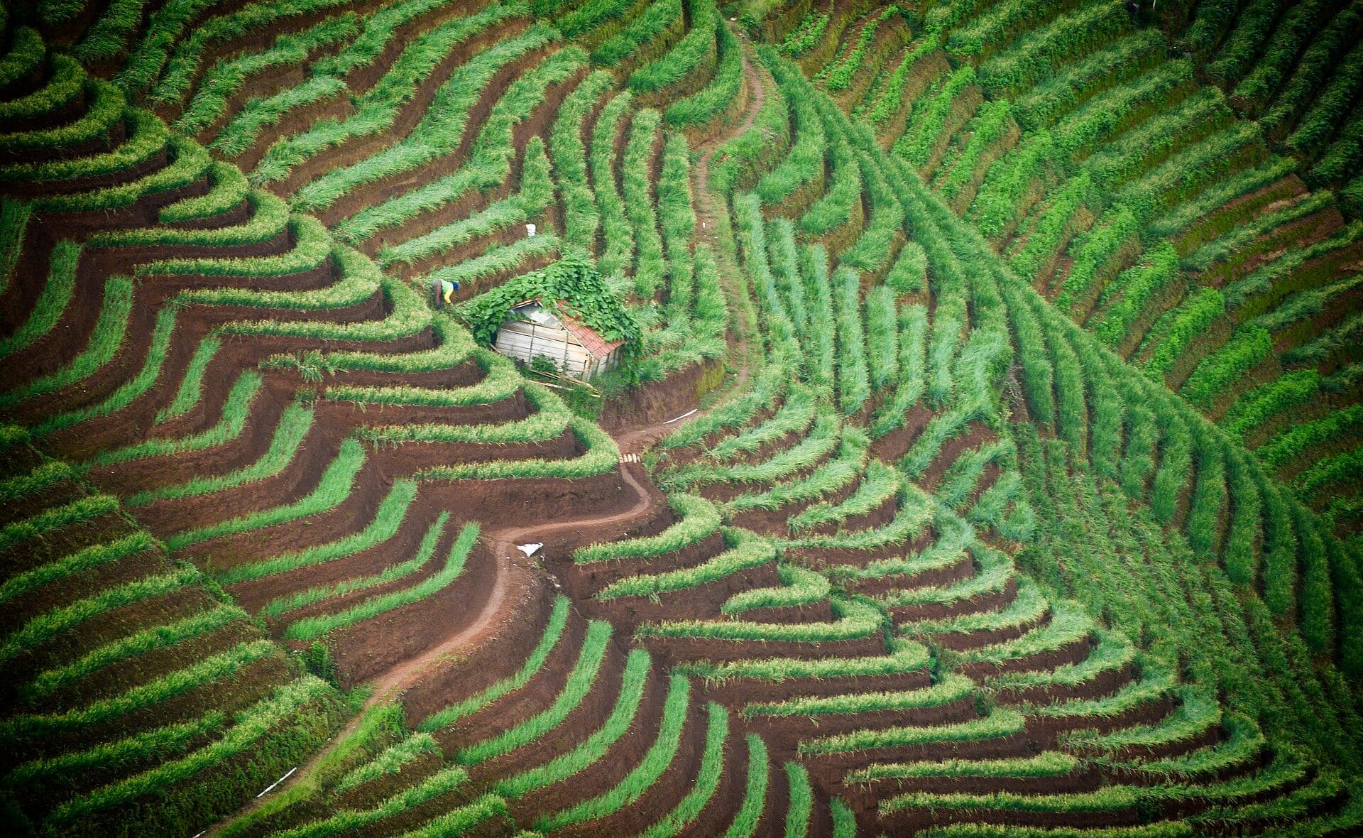 Terasering Panyaweuyan